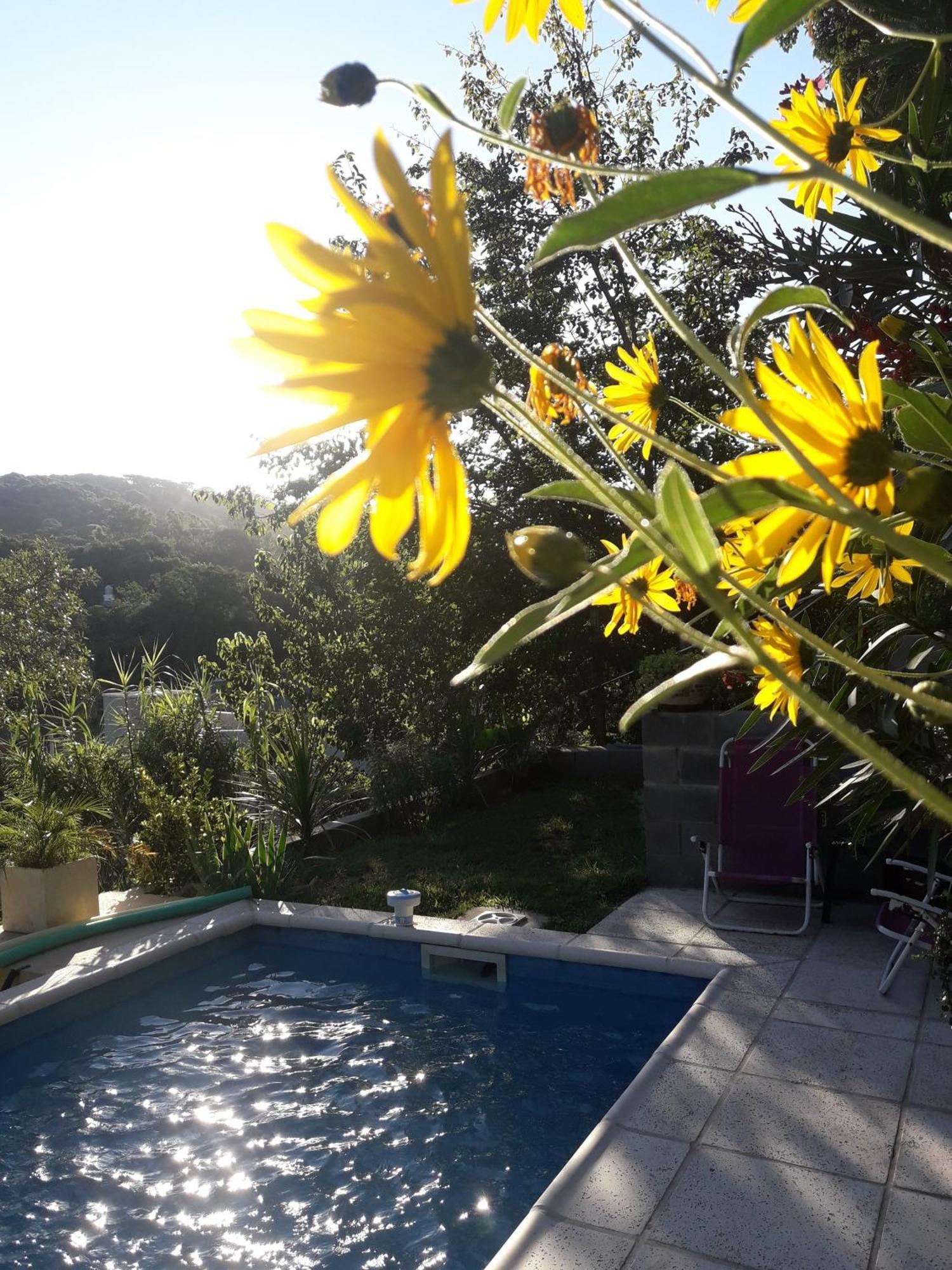 La Matilde *